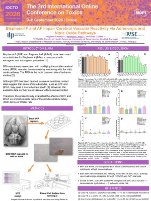 Poster_IOCTO2026_Henrique Costa.pdf